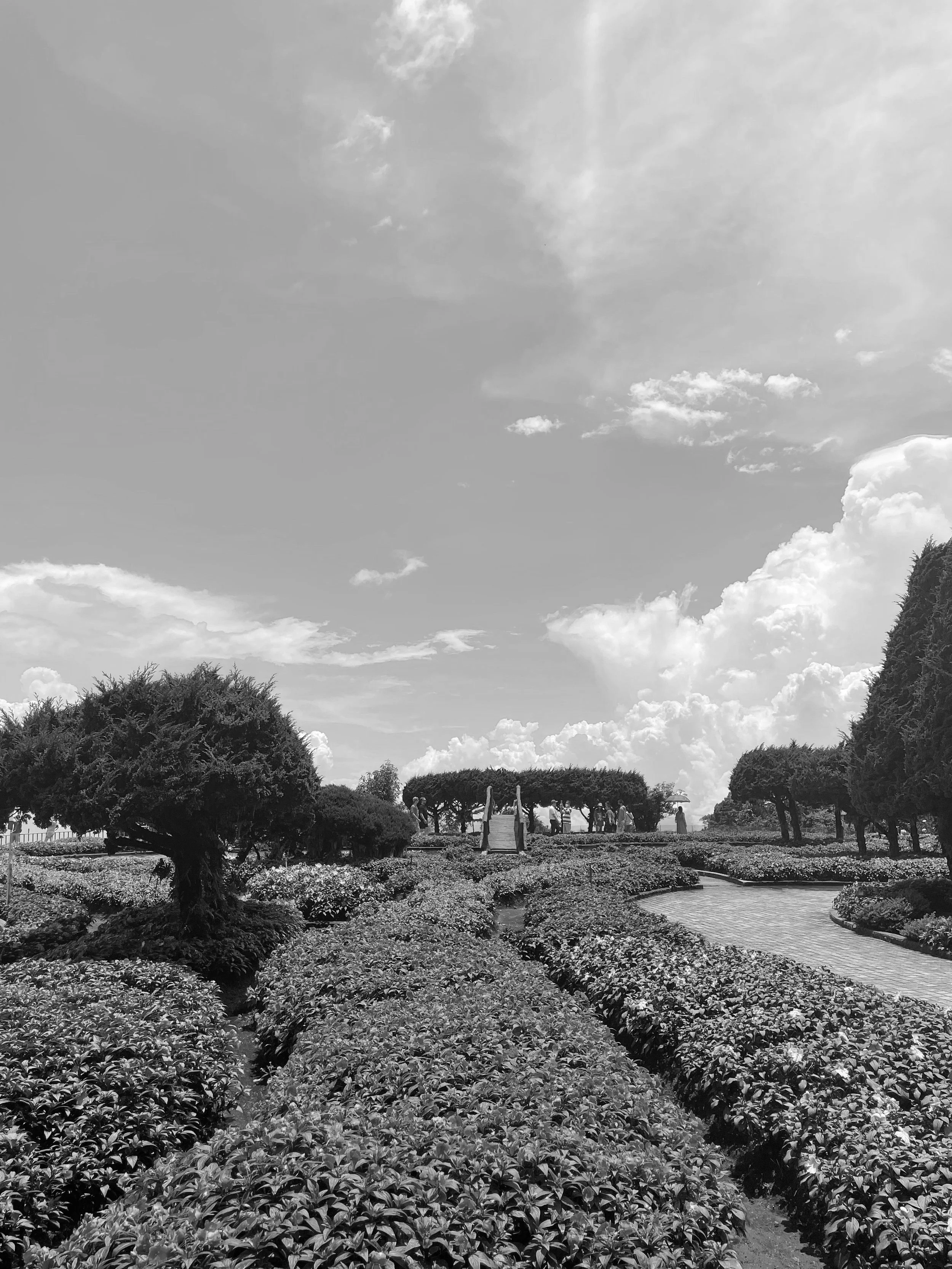 IMG_1139.jpg