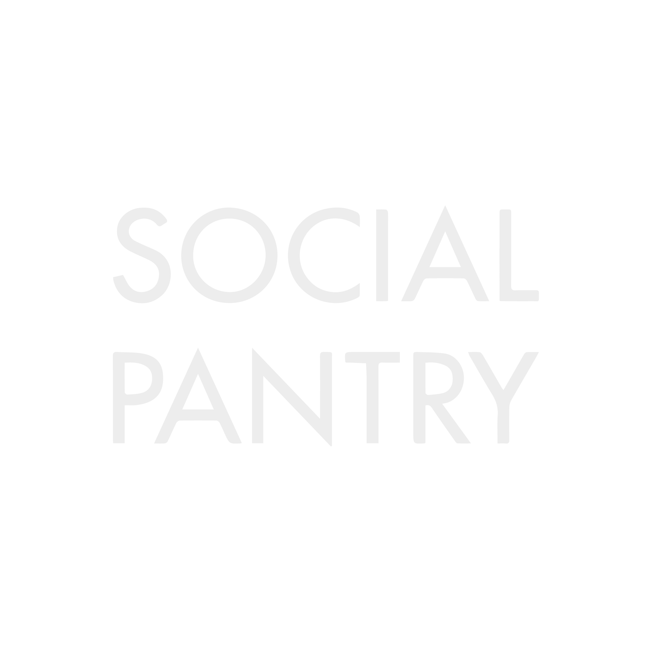 FY26 UK Gala Sponsor Logo_SOCIAL PANTRY.png