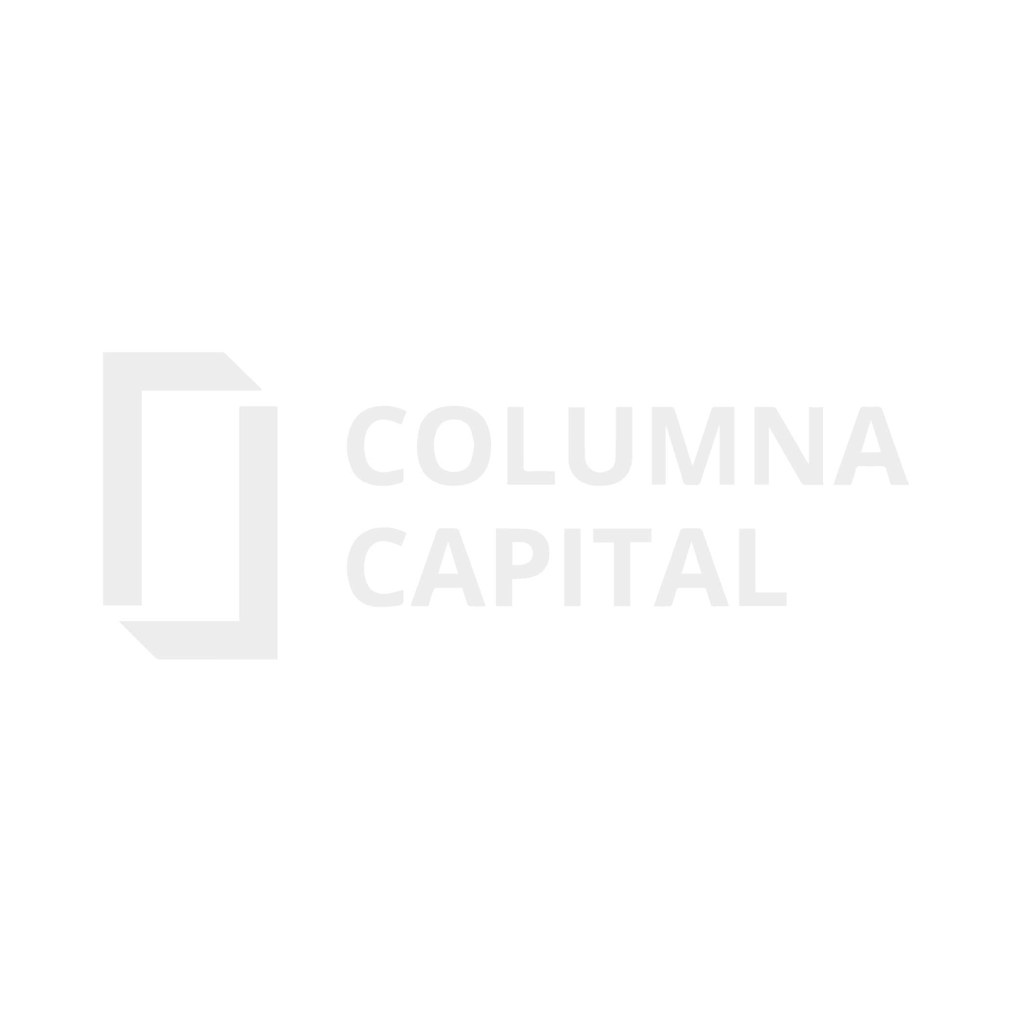 FY26 UK Gala Sponsor Logo_COLUMNA CAPITAL.png