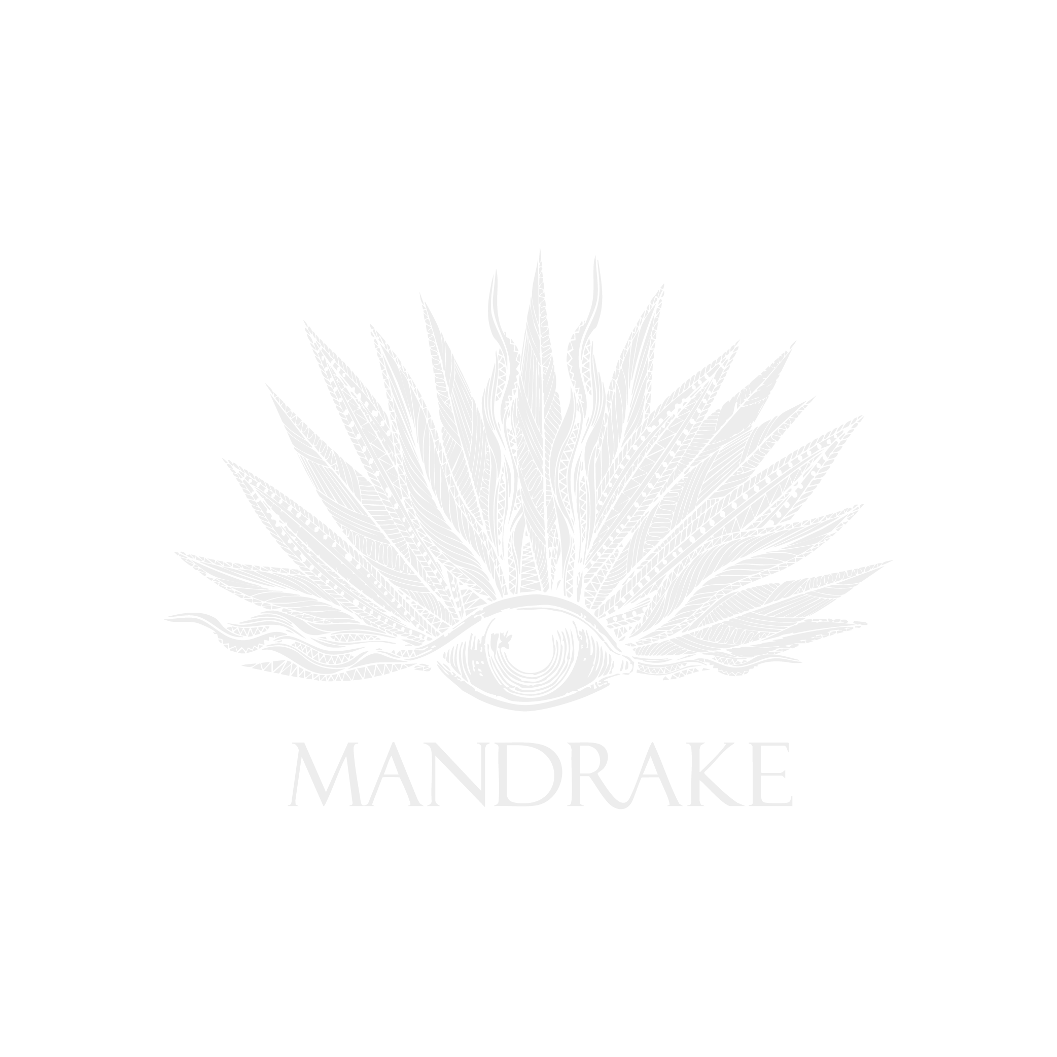 FY26 UK Gala Sponsor Logo_MANDRAKE.png