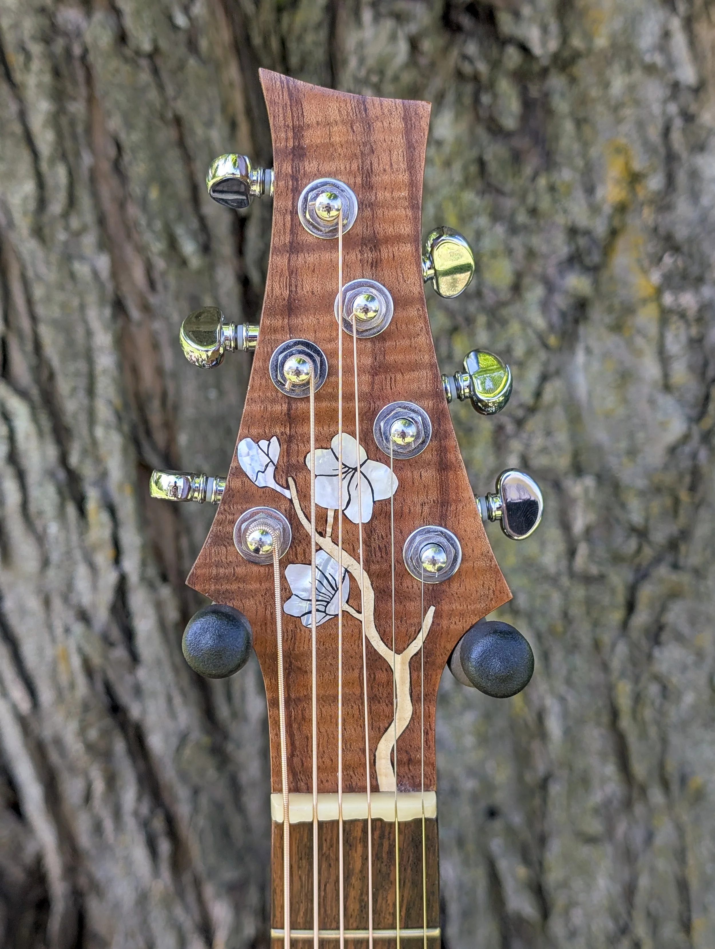 The Spring-Facate Braced Acoustic Guitar
