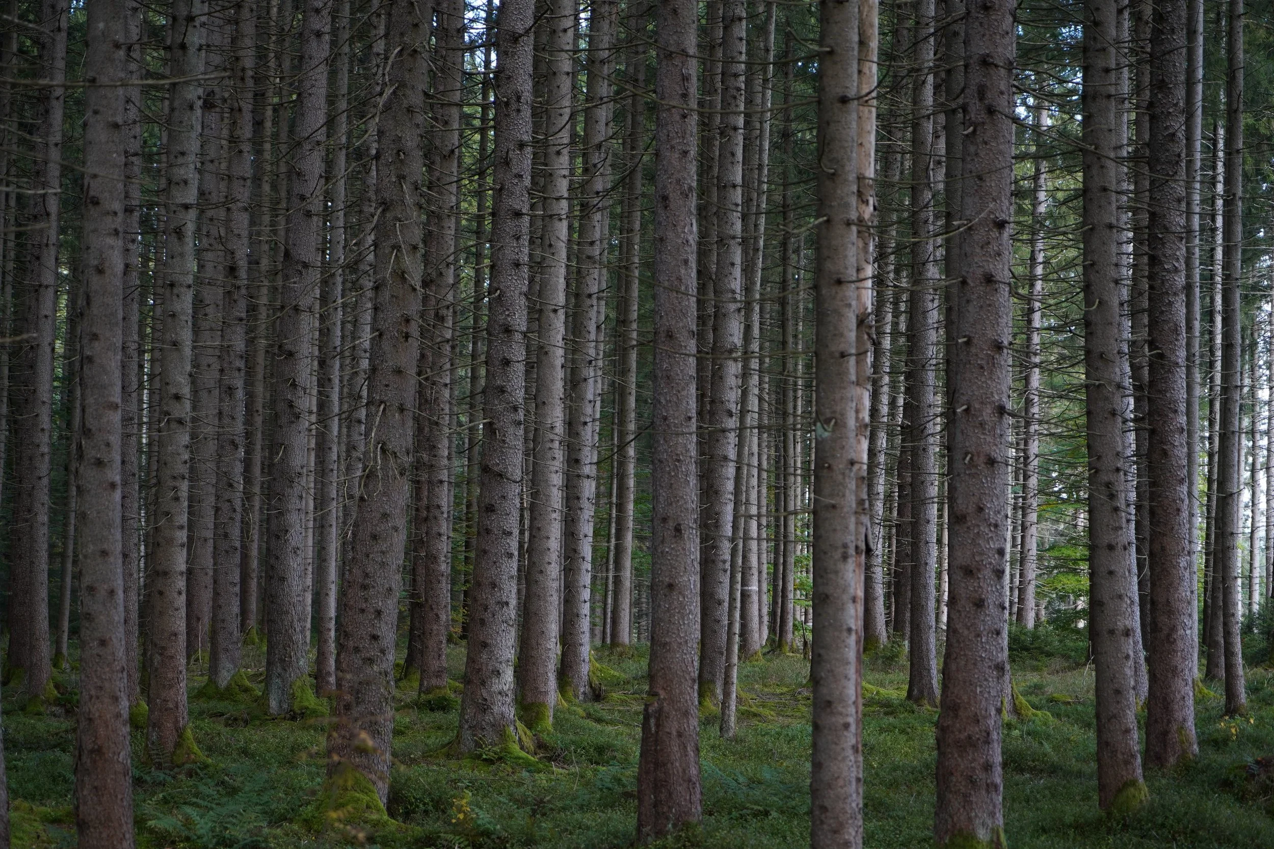 New Eyes, New Perspectives