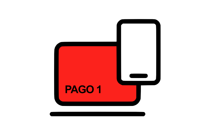 pmdv-pago1.png