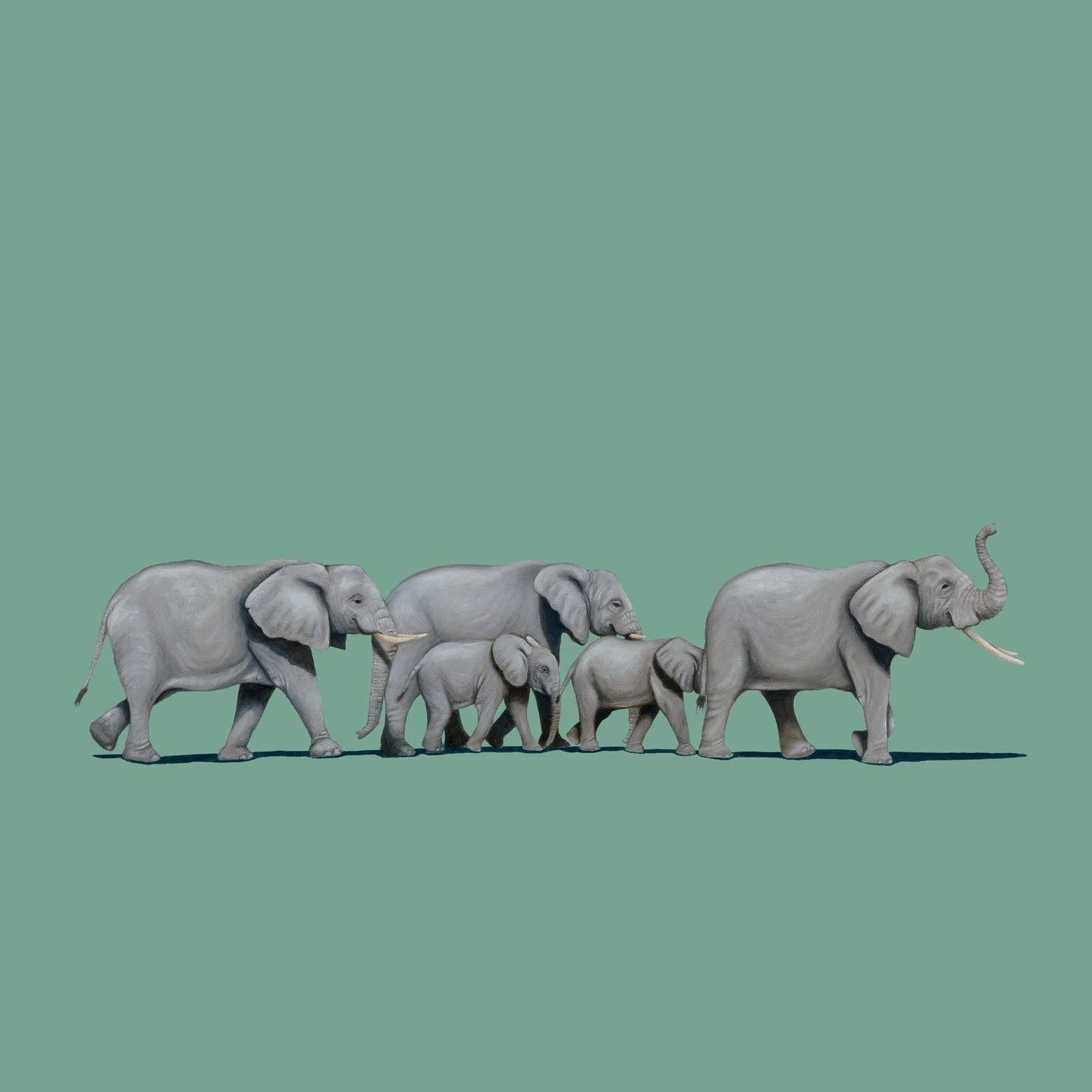 Happy World Elephant Day! 🐘 

Always one of my favourite animals to paint - today, we celebrate these incredible, intelligent, and majestic animals.

Elephants are a symbol of strength, wisdom, and loyalty, and their presence on our planet is a vita
