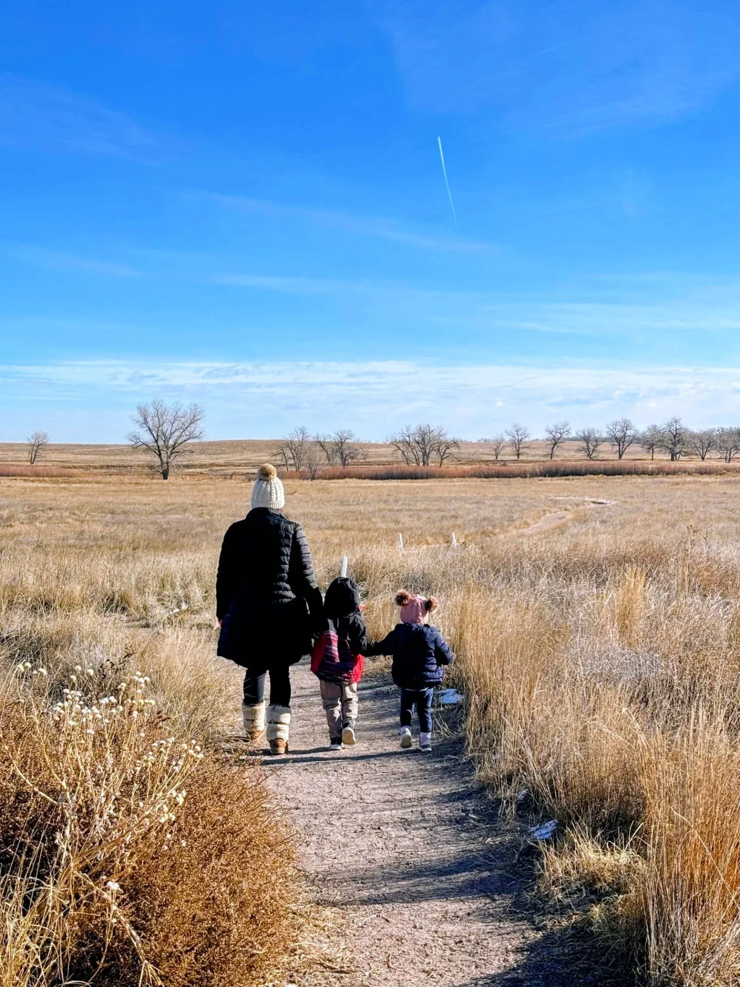 January... A tough start to the year with far too many trips to the hospital and not enough time spent painting, but still lots of moments of quality time with the family. It's been a slow start to the year in terms of creating art, and I'm honestly 