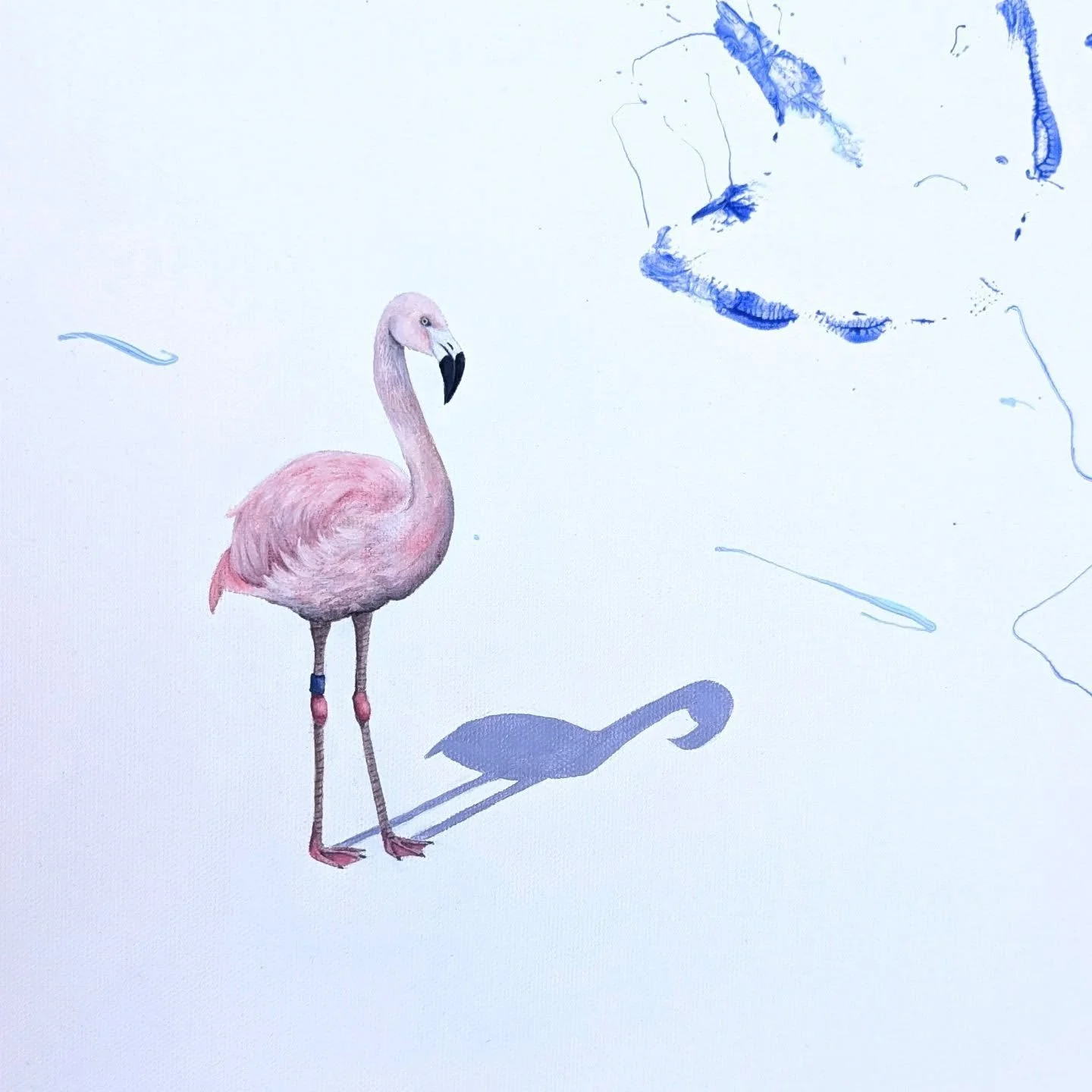 Last year I had the absolute honour of being commissioned by folks at @denverzoo to paint this adolescent #flamingo named Take Off. When you scroll you can see the whole painting and the sections where we got Take Off to add his marks too! Such a joy