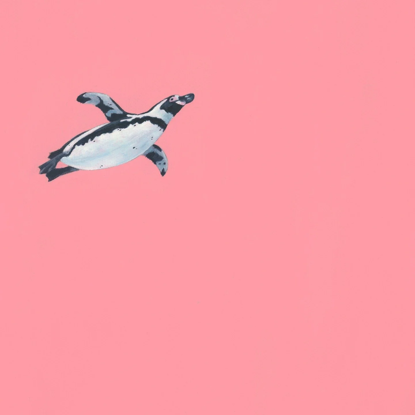 I'm a little obsessed with pink at the moment and I've no idea where it's come from! Growing up, pink was never a colour I liked -- I was never a "girly girl". But now I'm strongly considering painting our entire living room bright pink -- 