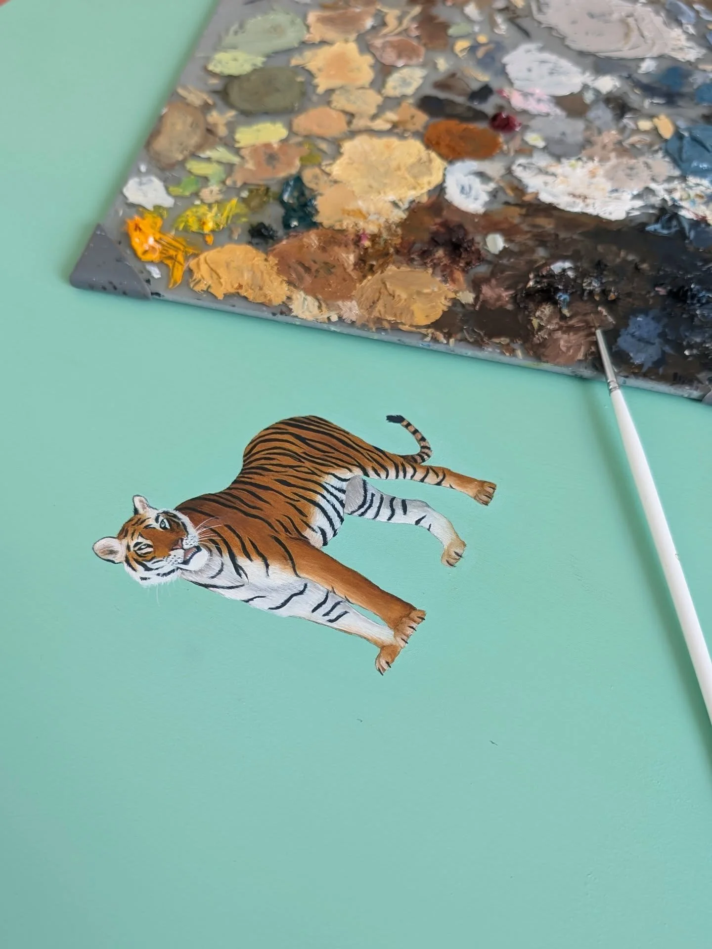 It's been a little while since my palette was this full... getting some prepping done this week so I can start painting again. What animals do I need to add to the list this year?
.
.
.
#tiger #wildlife #wildlifeconservation #animals