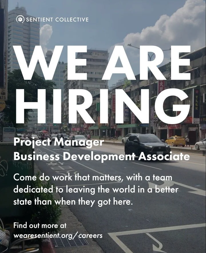 Ready to do work you love with people that you love working with?
Find out more at wearesentient.org/careers
Link in bio!