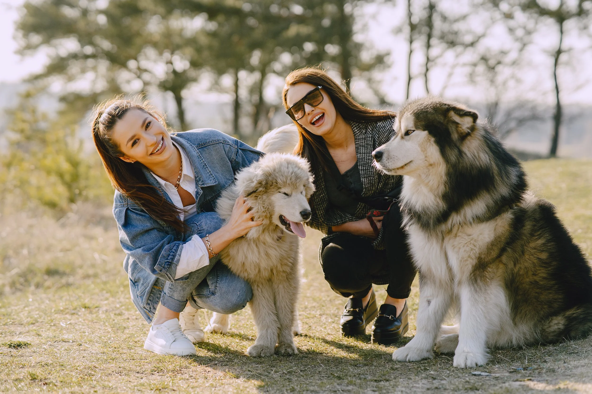 two-stylish-girls-sunny-field-with-dogs.jpg