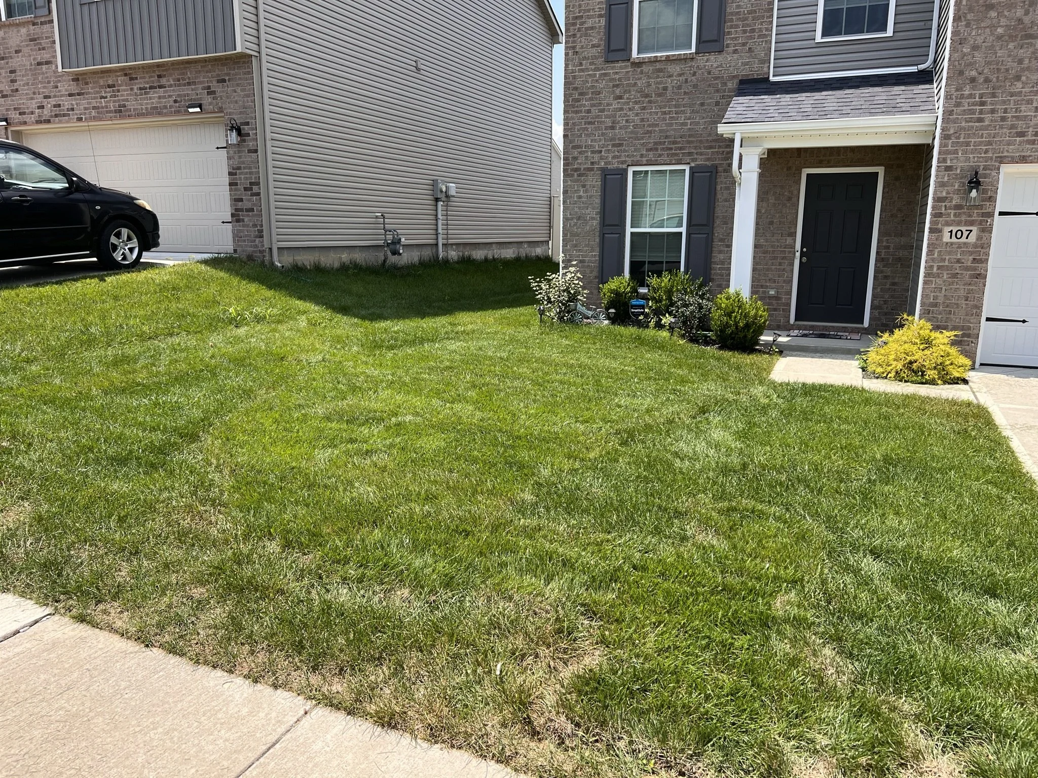 Front yard of a residential house with green grass, a walkway leading to a black front door, and various bushes and plants near the entrance. Part of a neighboring house and a parked black car are visible on the left.