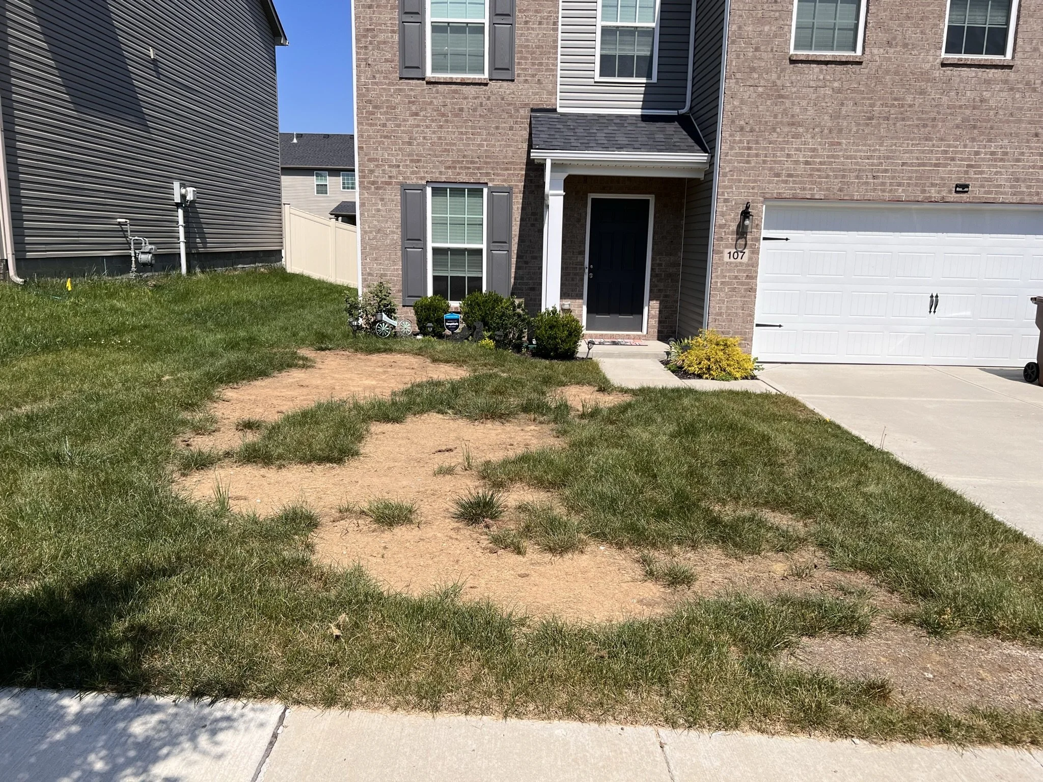 Front yard of a house with a mix of patchy grass and exposed dirt, neighboring house with gray siding, brick house with black front door, white garage door, and small plants near the entrance.