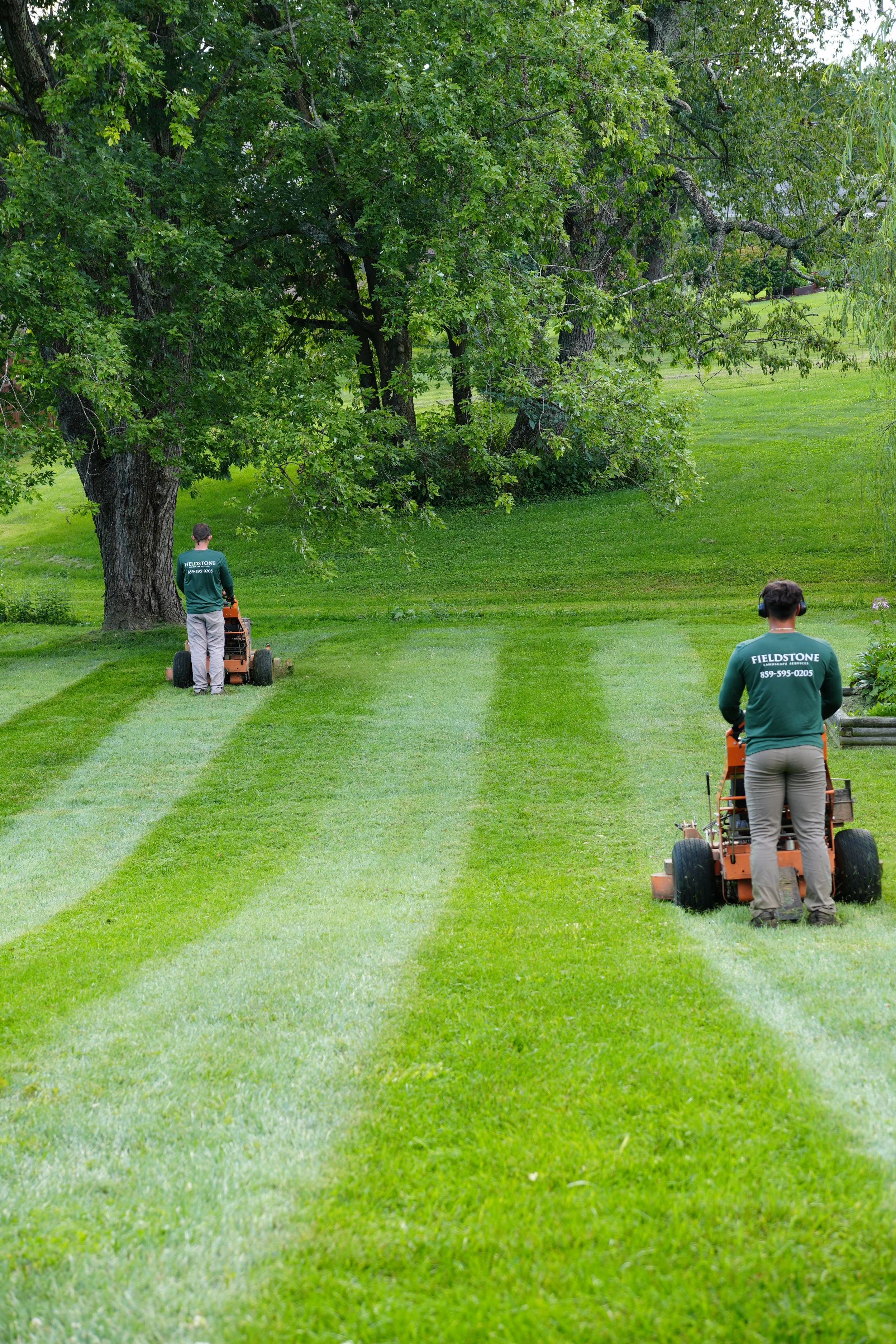 Two workers mowing grass on a lawn with large green trees in the background.
