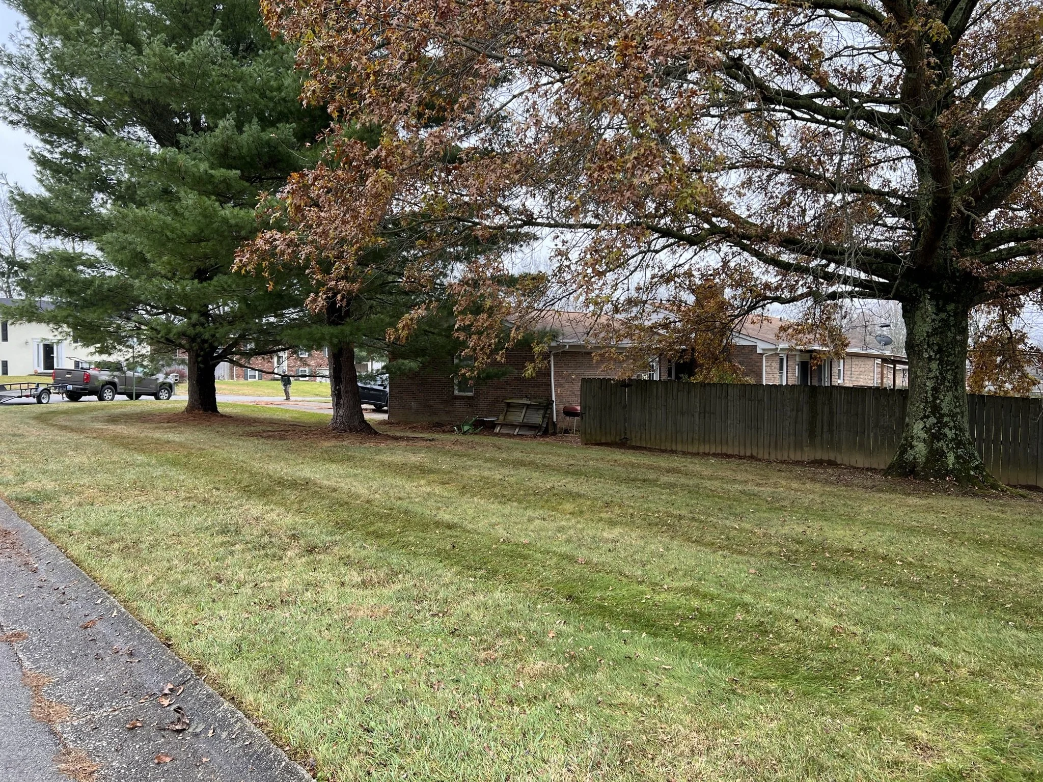 A grassy front yard with three large trees, a suburban house with a brick exterior, and parked cars in the background. Overcast sky.