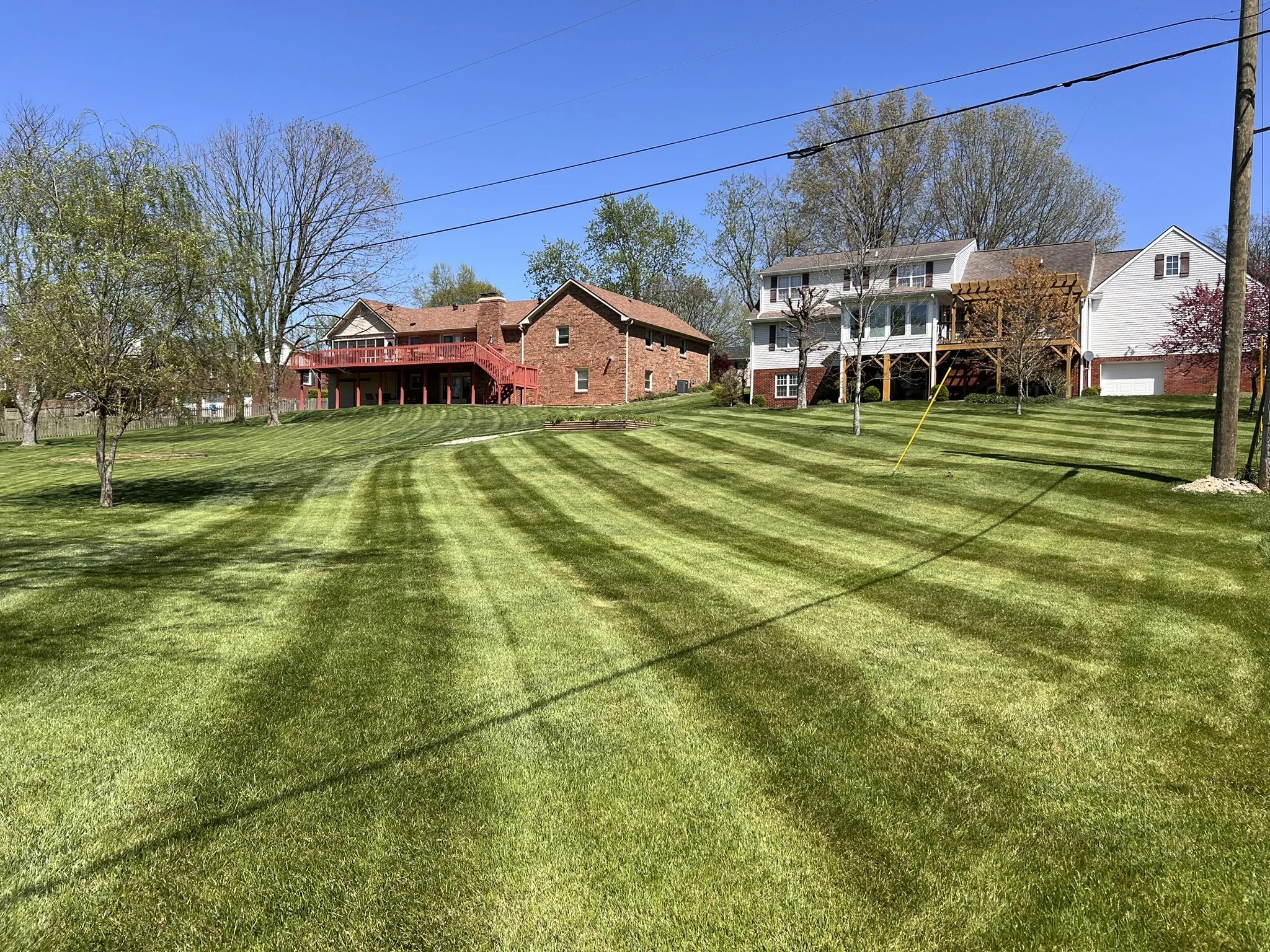 A well-maintained backyard with striped green lawn, a few trees, and two houses in the background under a clear blue sky.