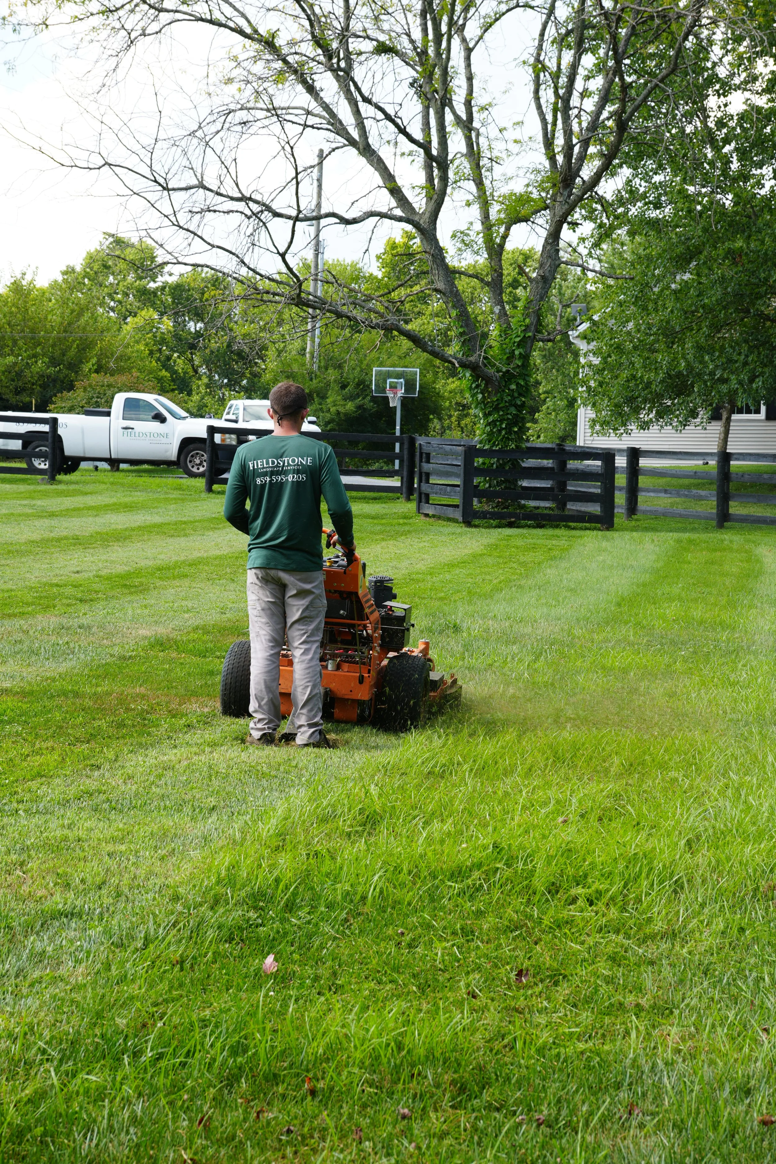 A man operating a riding lawn mower on a well-maintained grassy lawn, with trees, a wooden fence, vehicles, and a basketball hoop in the background.