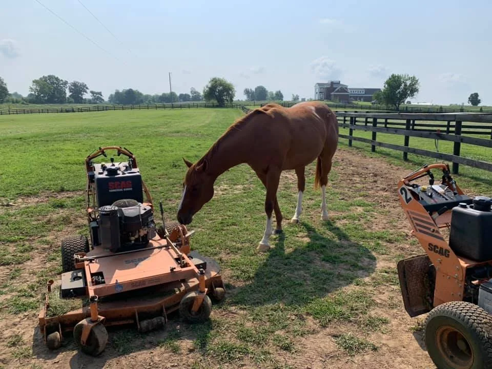 A brown horse grazing on grass in a fenced pasture flanked by two orange robotic lawn mowers.