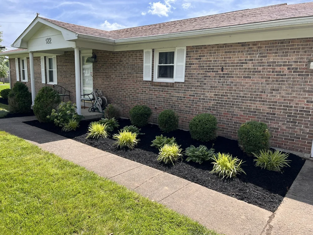 A tidy front-yard garden with fresh mulch beds and bushes