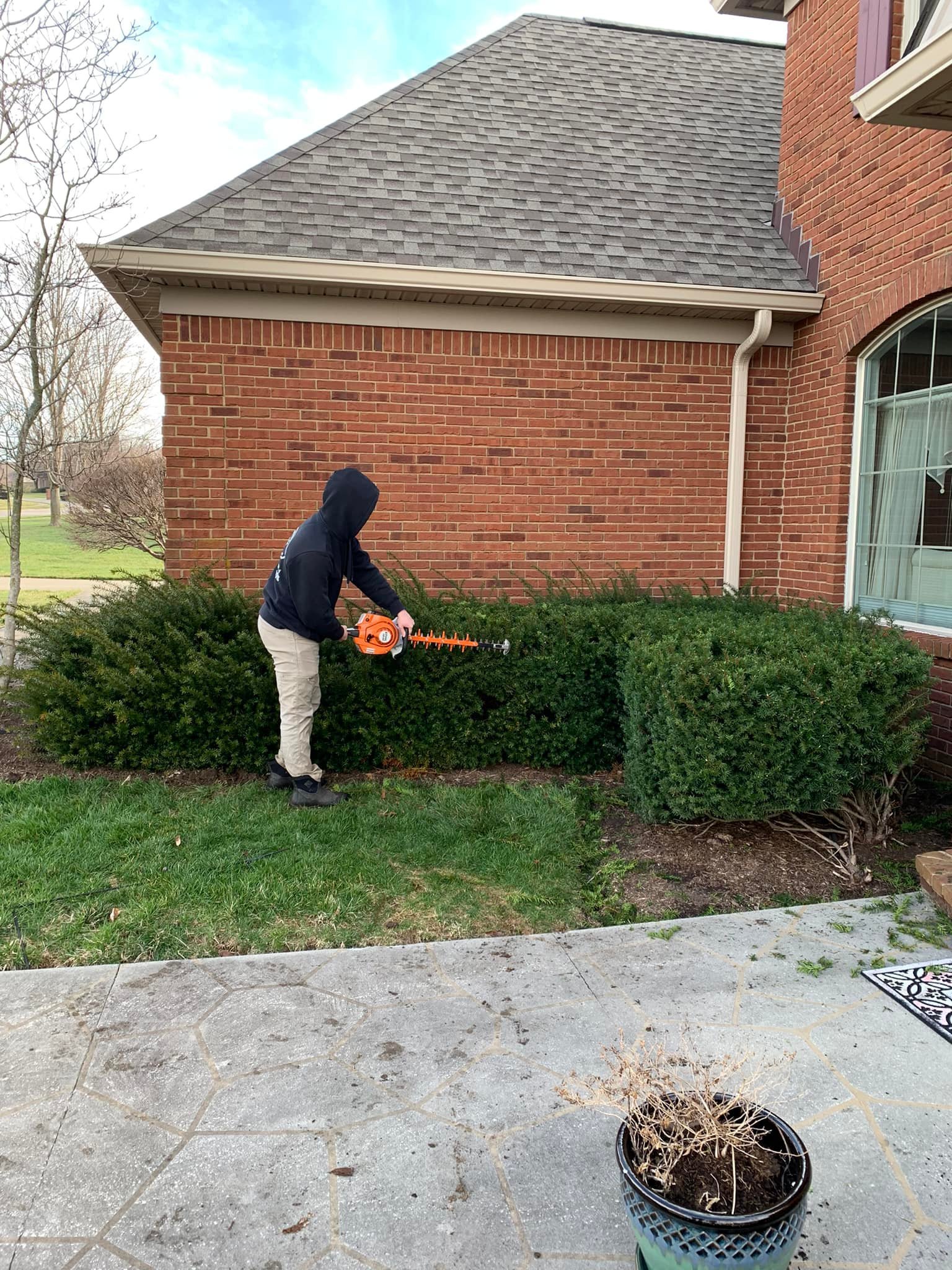 Person in a black hoodie and beige pants using a hedge trimmer to trim bushes in front of a brick house with a large window.