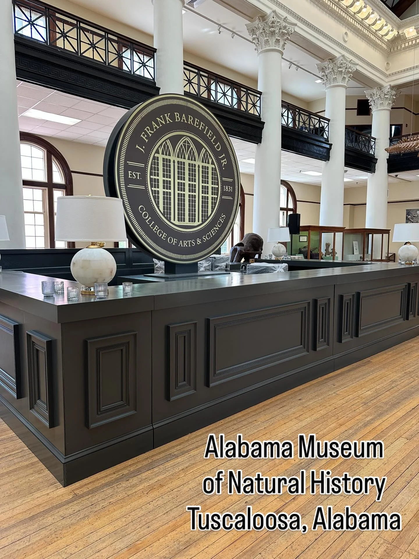 Request: Design the event to look like it fits in the Alabama Museum of Natural History, like it was meant to be a part of the architecture &mdash;&gt; Our team started with a brainstorming session about the experience : the floor plan : the bar styl
