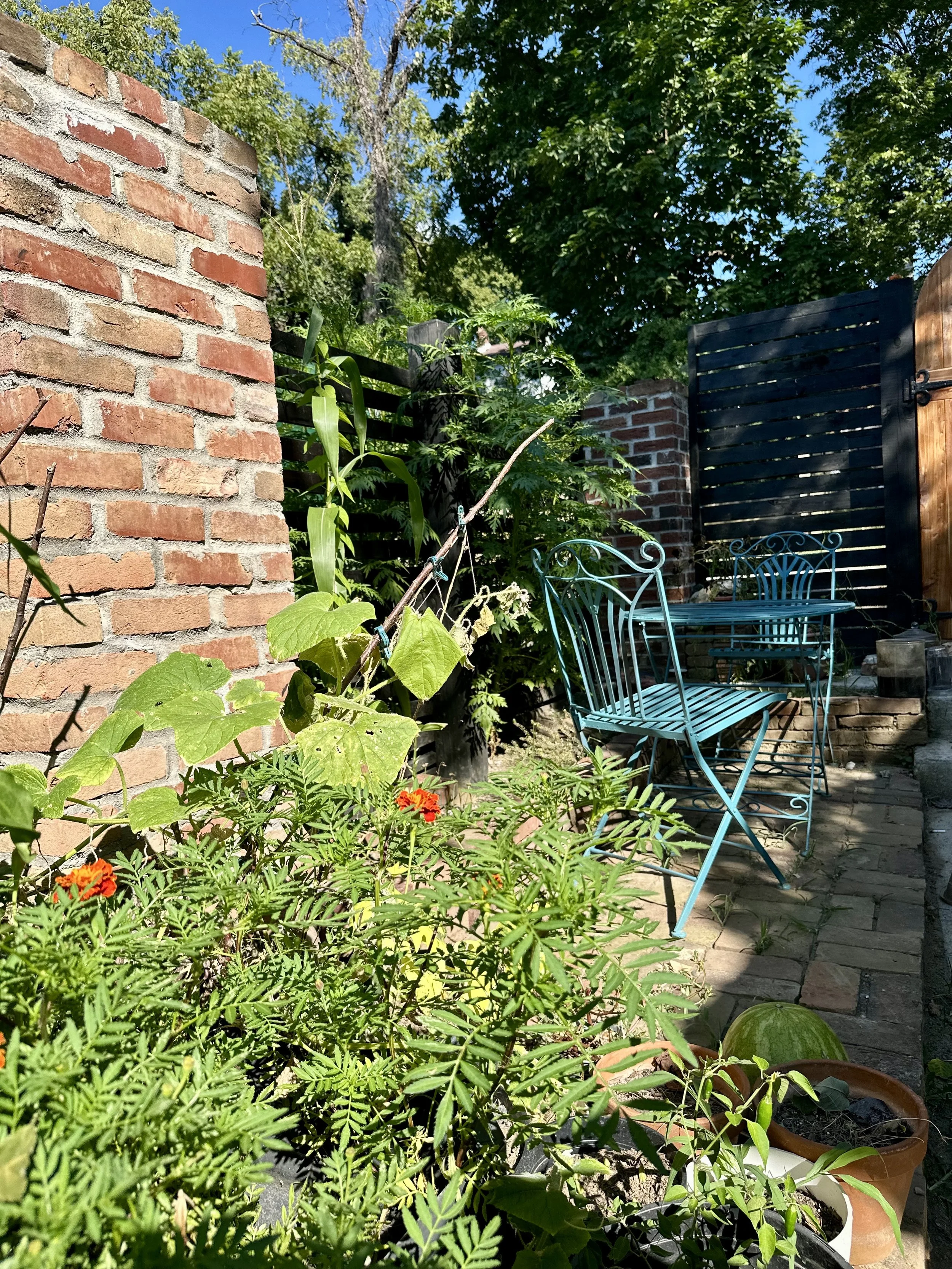 A cozy outdoor garden patio with a brick wall, lush green plants, a blue iron bistro table and chairs, and a black wooden fence on a sunny day.