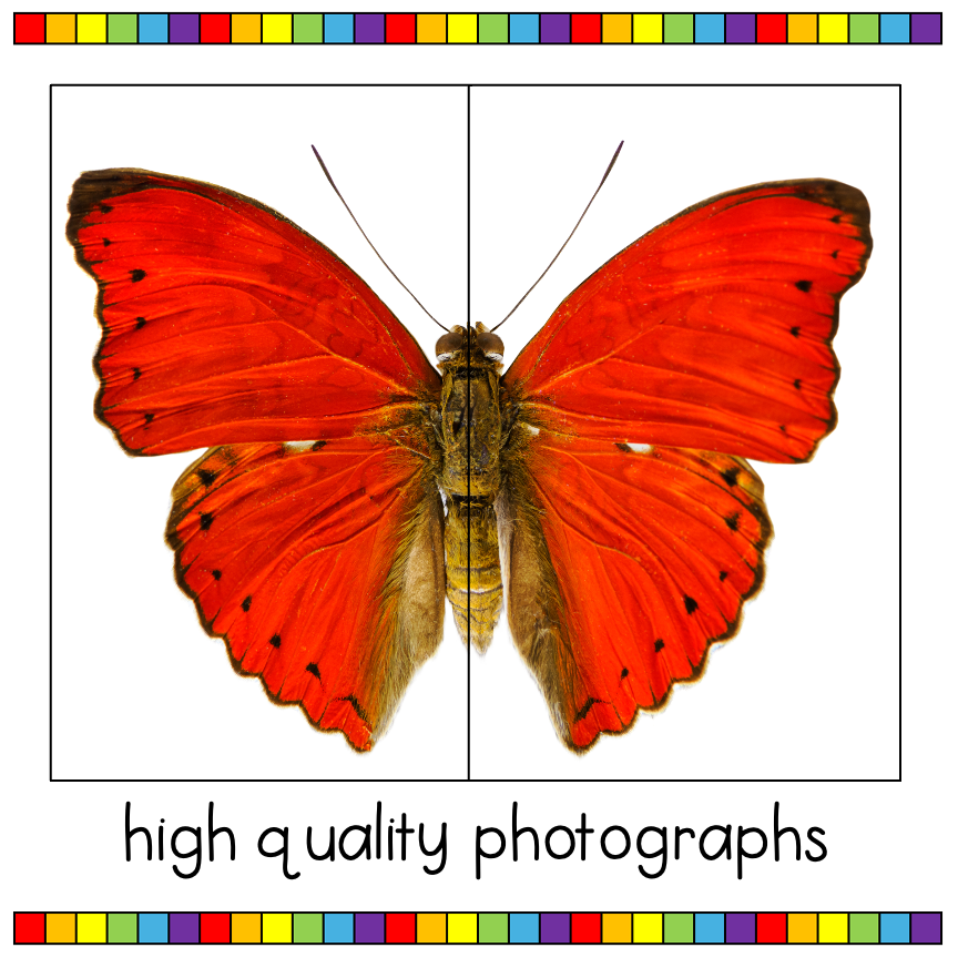 Slide5.png