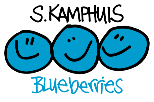 LOGO 2025.png
