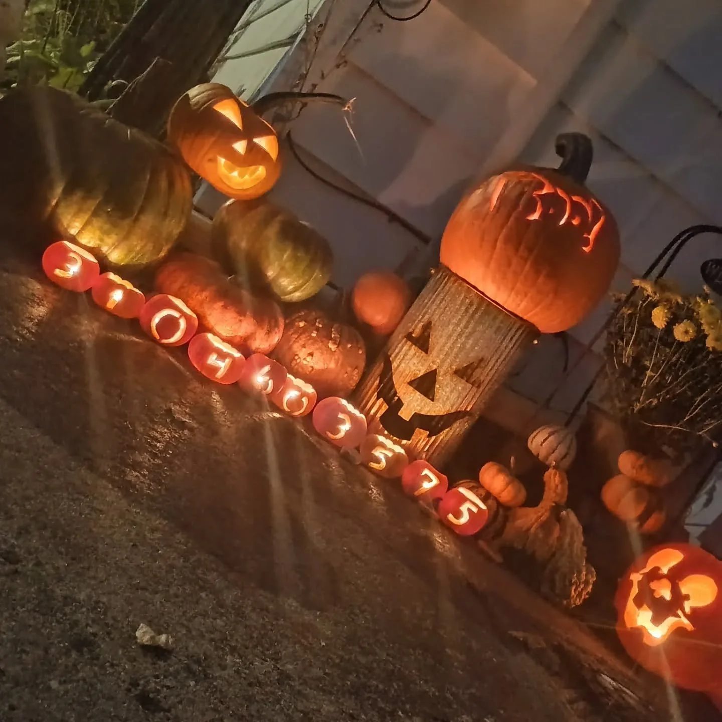 Join us October 25th for our 3rd annual meeting with @lunsfordcarvings and the International Association of Woodcarvers.  Hop on zoom before 3pm EST at 3104603575 to hear all about what's new with your favorite Badgers.