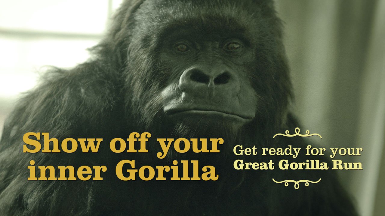 Inner-gorilla-2.jpg