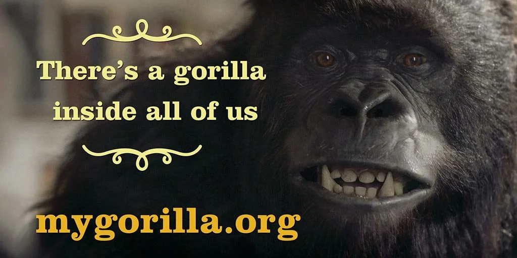 a-gorilla-inside.jpg