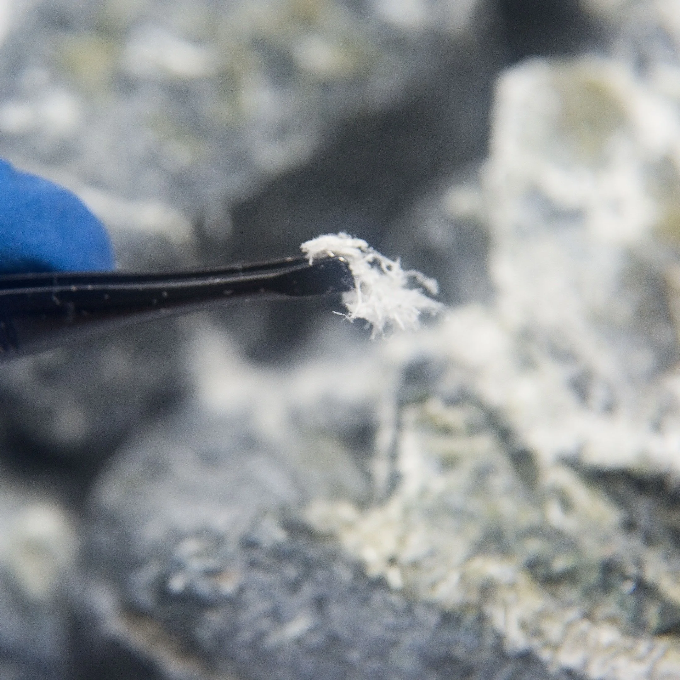IITI Group handles asbestos-containing materials: removal or encapsulation services.