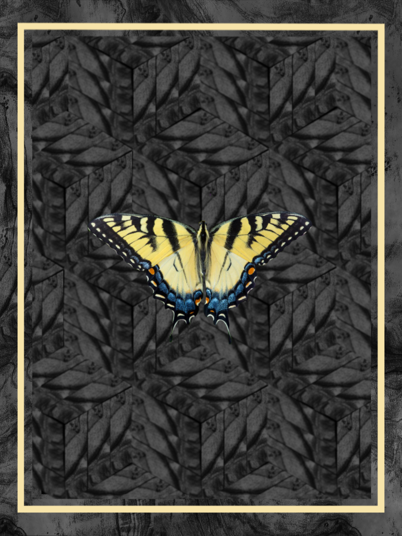 Untitled_Artwork 1.PNG