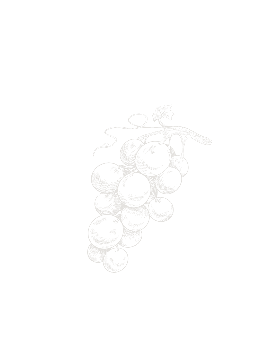 Une illustration en noir et blanc d'un raisin avec plusieurs grappes et une feuille