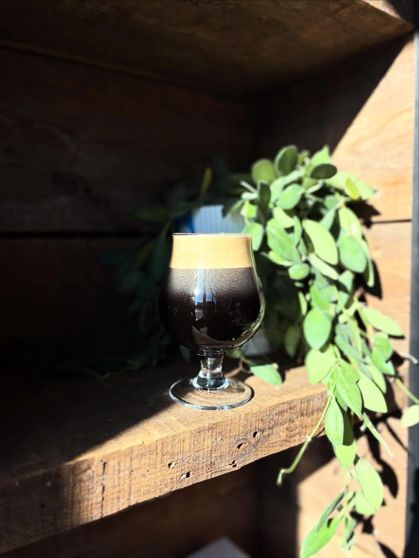 ‼️🍄&zwj;🟫ITS BACK🍄&zwj;🟫‼️

That&rsquo;s right you are seeing this correctly! Under the Canopy has returned for our 1-year anniversary! This was one of the first beers I released on tap when we first opened and to my surprised this strange beer b