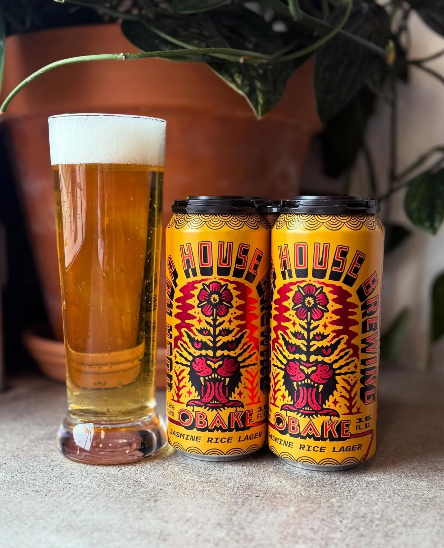 Happy Saturday! 

Today I thought we would do a little spotlight on a style thats been a consistent staple on our menu. Obake is a jasmine rice lager that is a labor of love! Working with jasmine rice is not necessarily cake walk but the finish it im