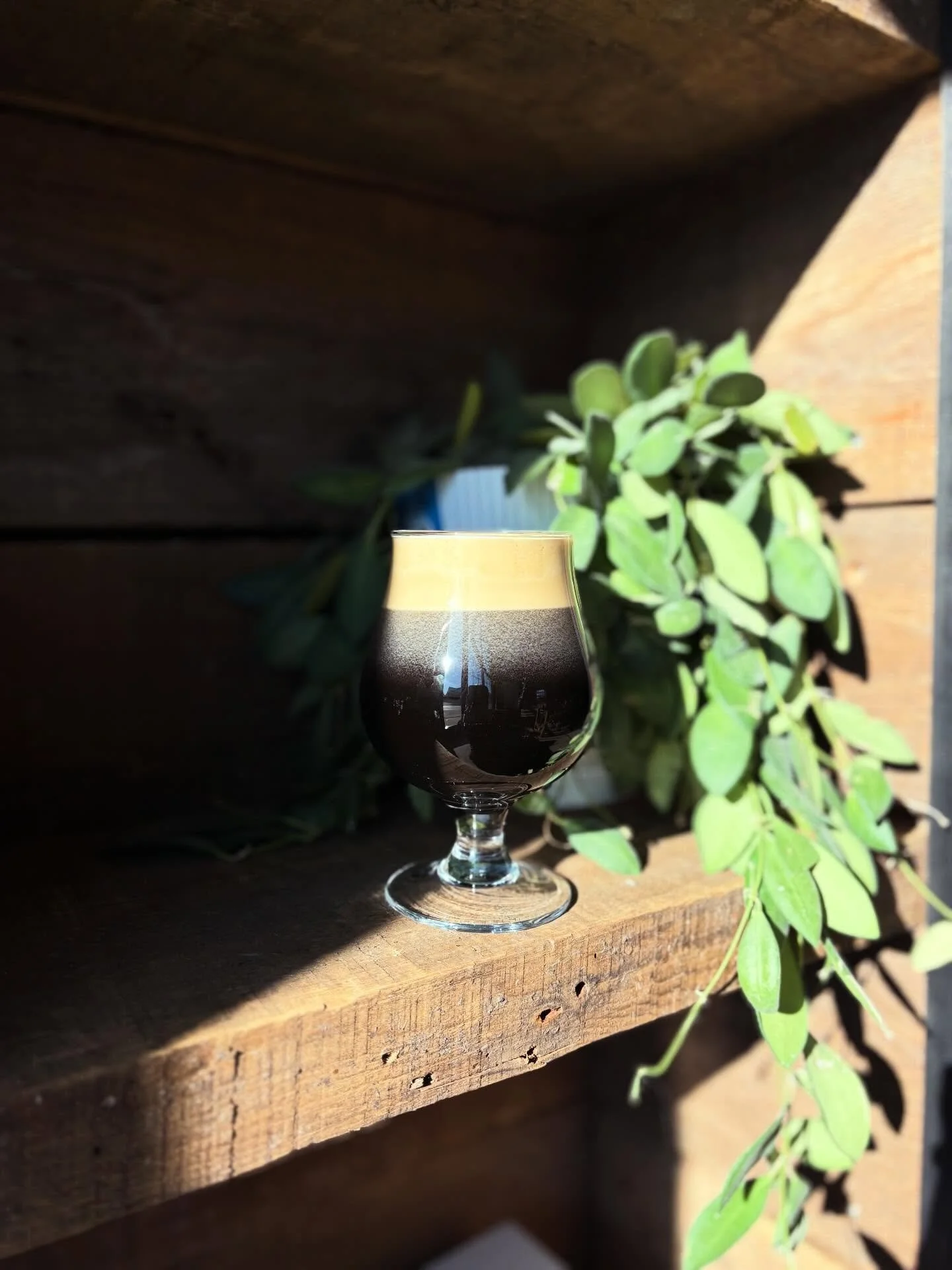 🍄&zwj;🟫LAST CALL🍄&zwj;🟫 

Sadly you are seeing this correctly! Under the Canopy will be leaving our taps this Friday 6/12 for the season. This beer was a very strange and unique creation that slowly became a huge crowd favorite. People have drive