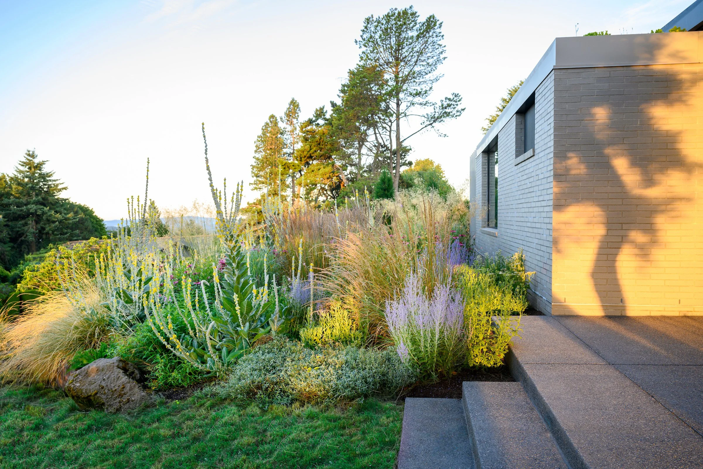 Lilyvilla Gardens
