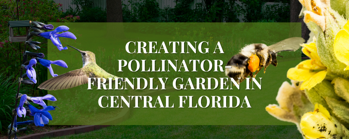 Creating a Pollinator-Friendly Garden in Central Florida