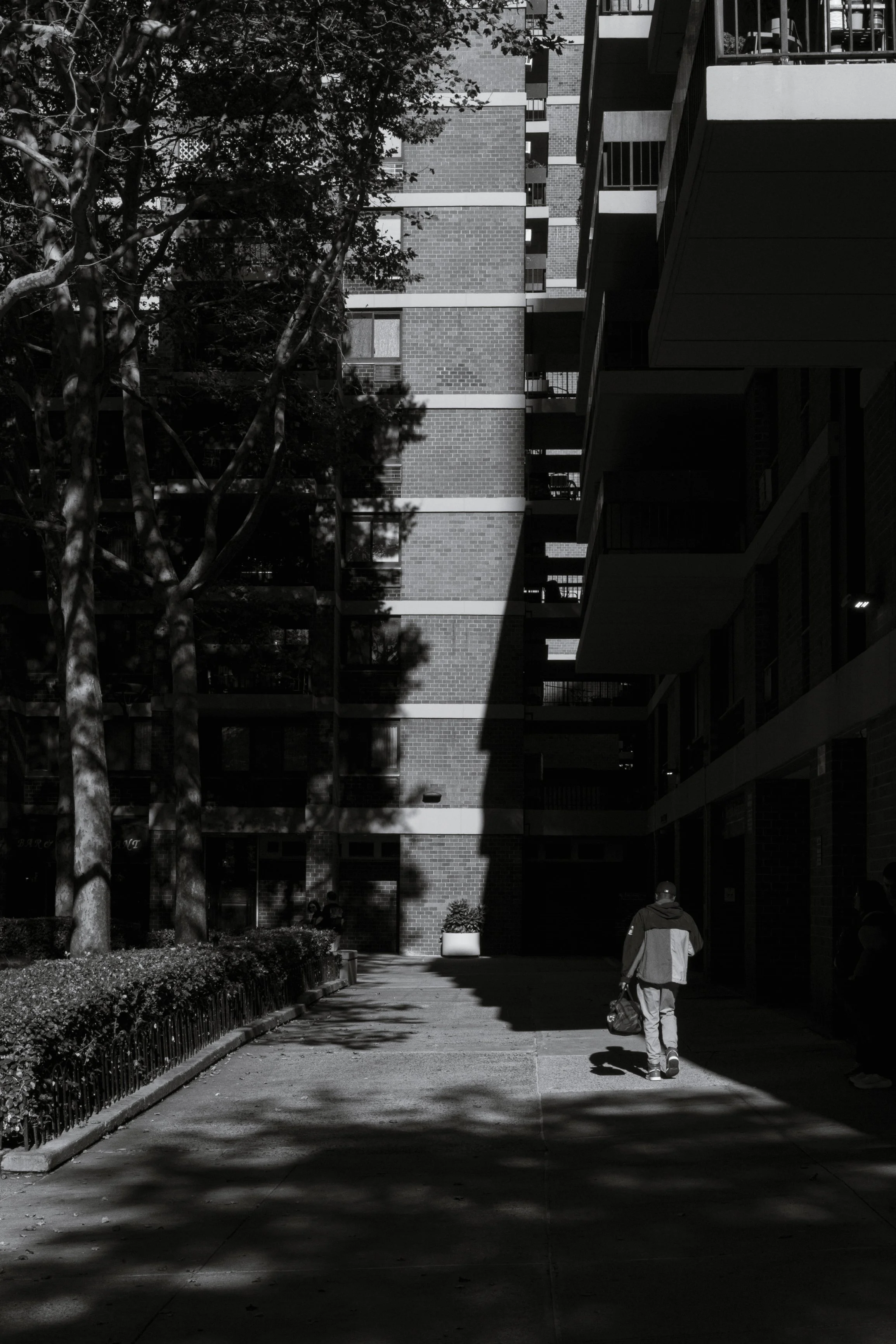 Finalweb-9618.jpg