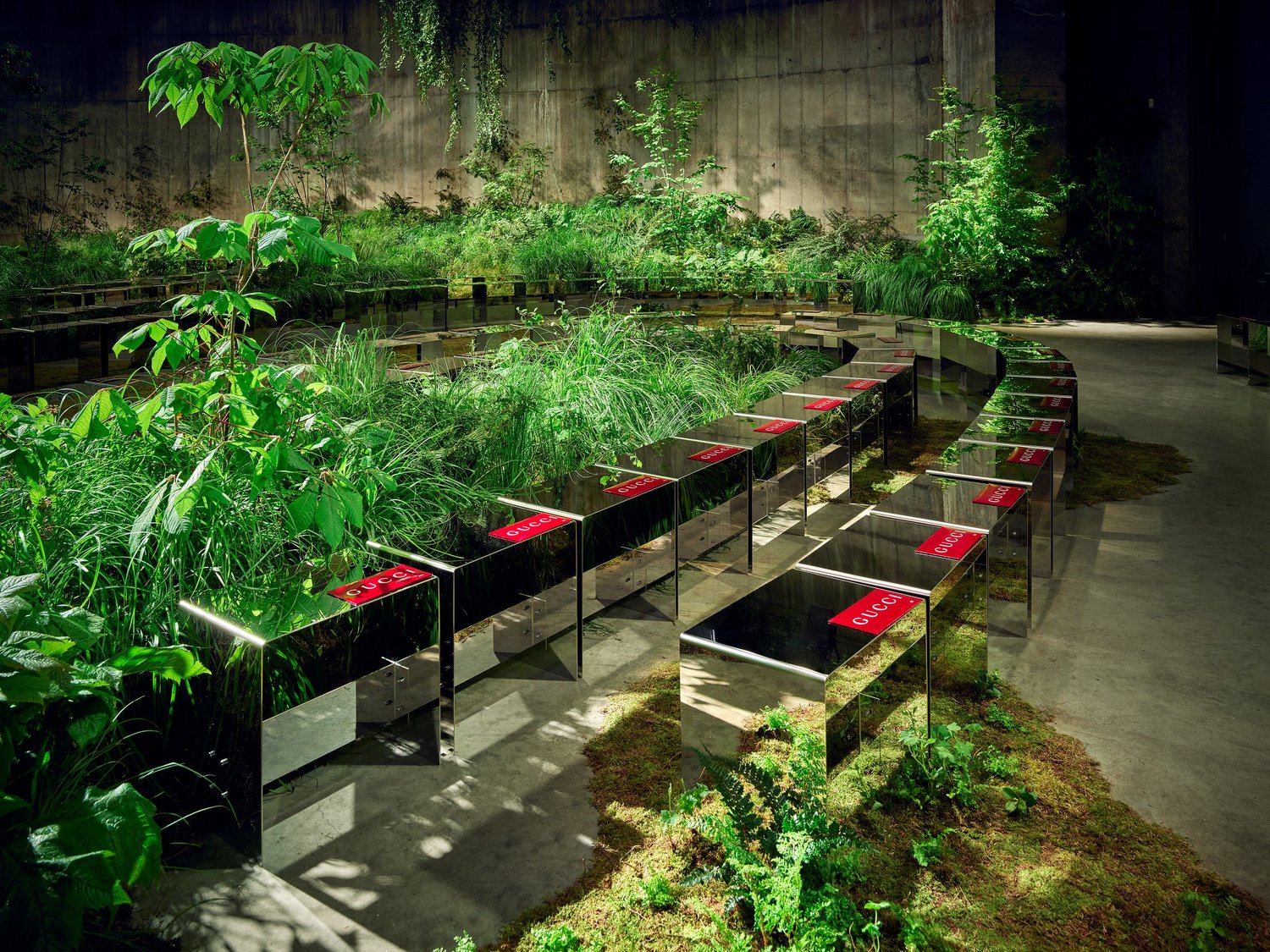 Rows of show seating backed by green planting in the Tanks at Tate Modern
