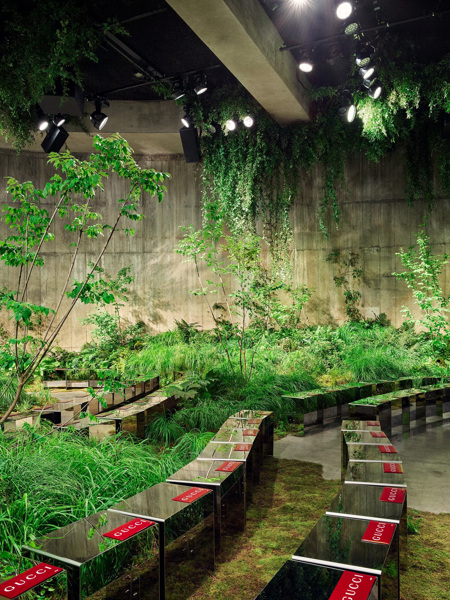 Show seating curving through planting under the lights in the Tanks at Tate Modern