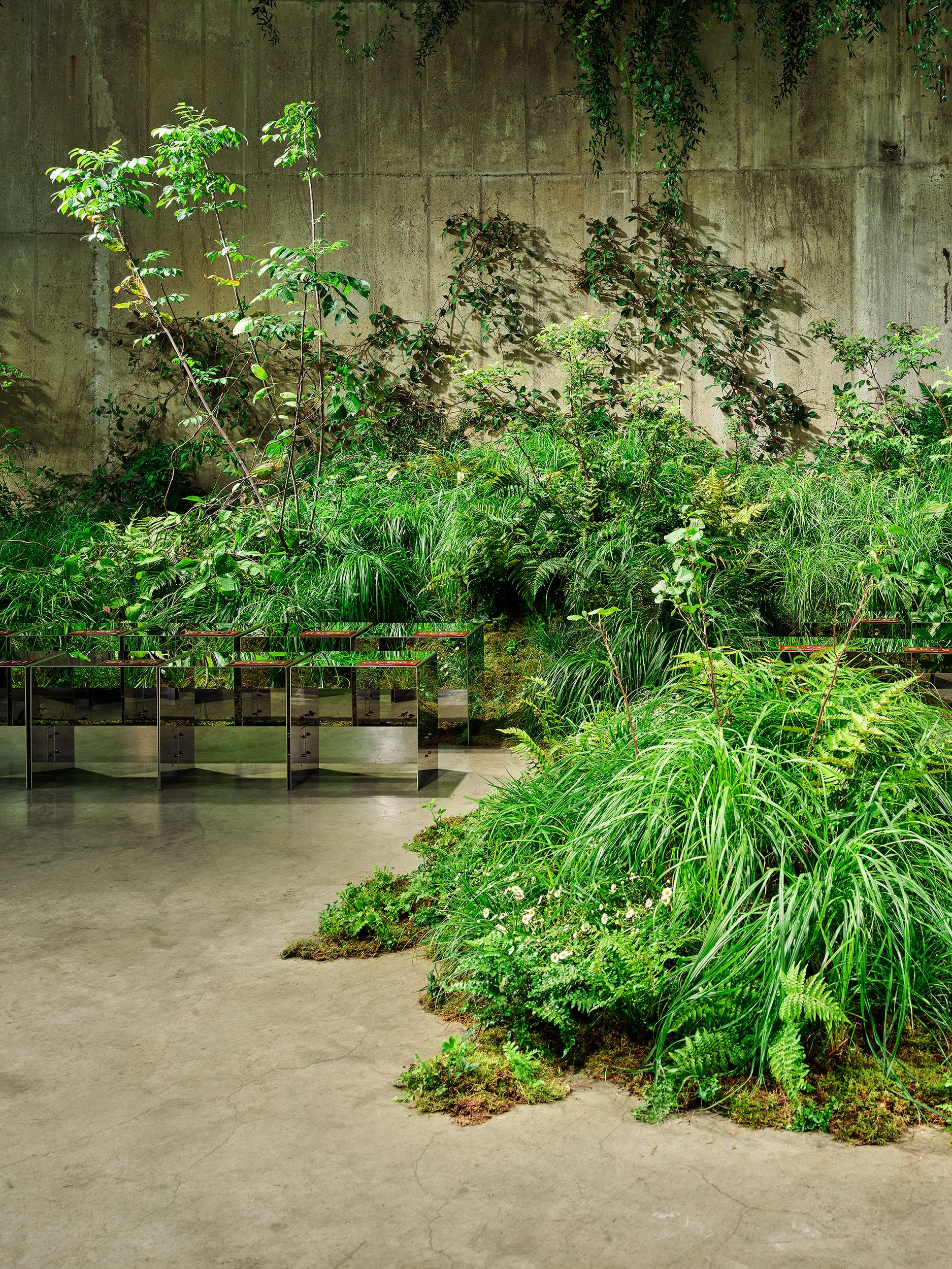 A mound of grasses on the concrete floor of the Tanks