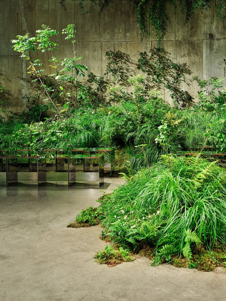 A mound of grasses on the concrete floor of the Tanks