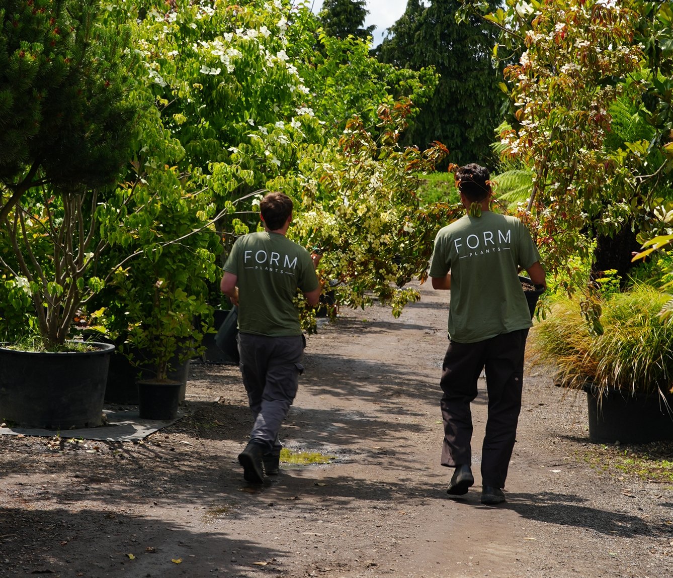 Two members of the Form Plants team walking between rows of flowering trees in the nursery