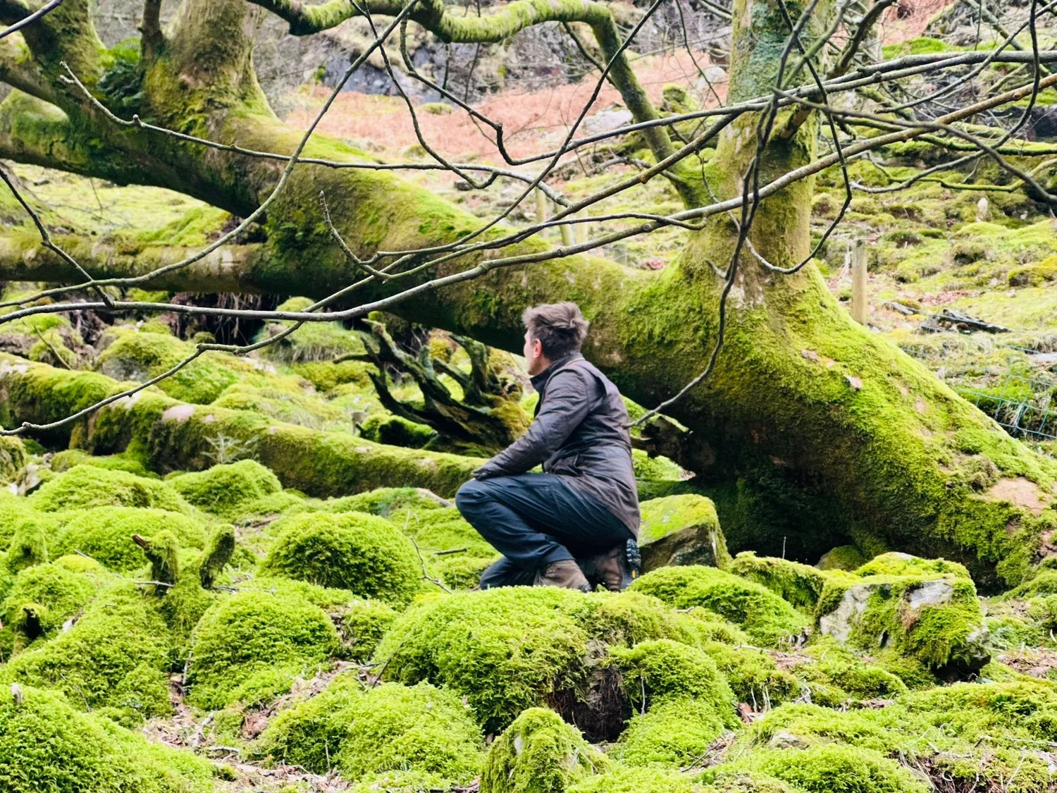 Jamie Butterworth crouching among mossy boulders and old trees in Cumbria