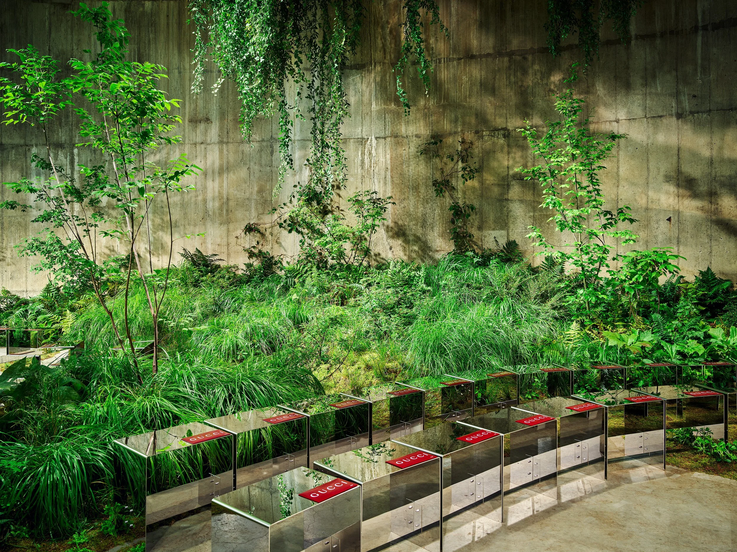 Low planting softening the edge of the show seating in the Tanks