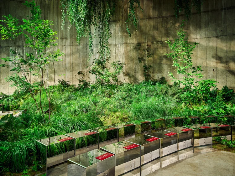 Low planting softening the edge of the show seating in the Tanks