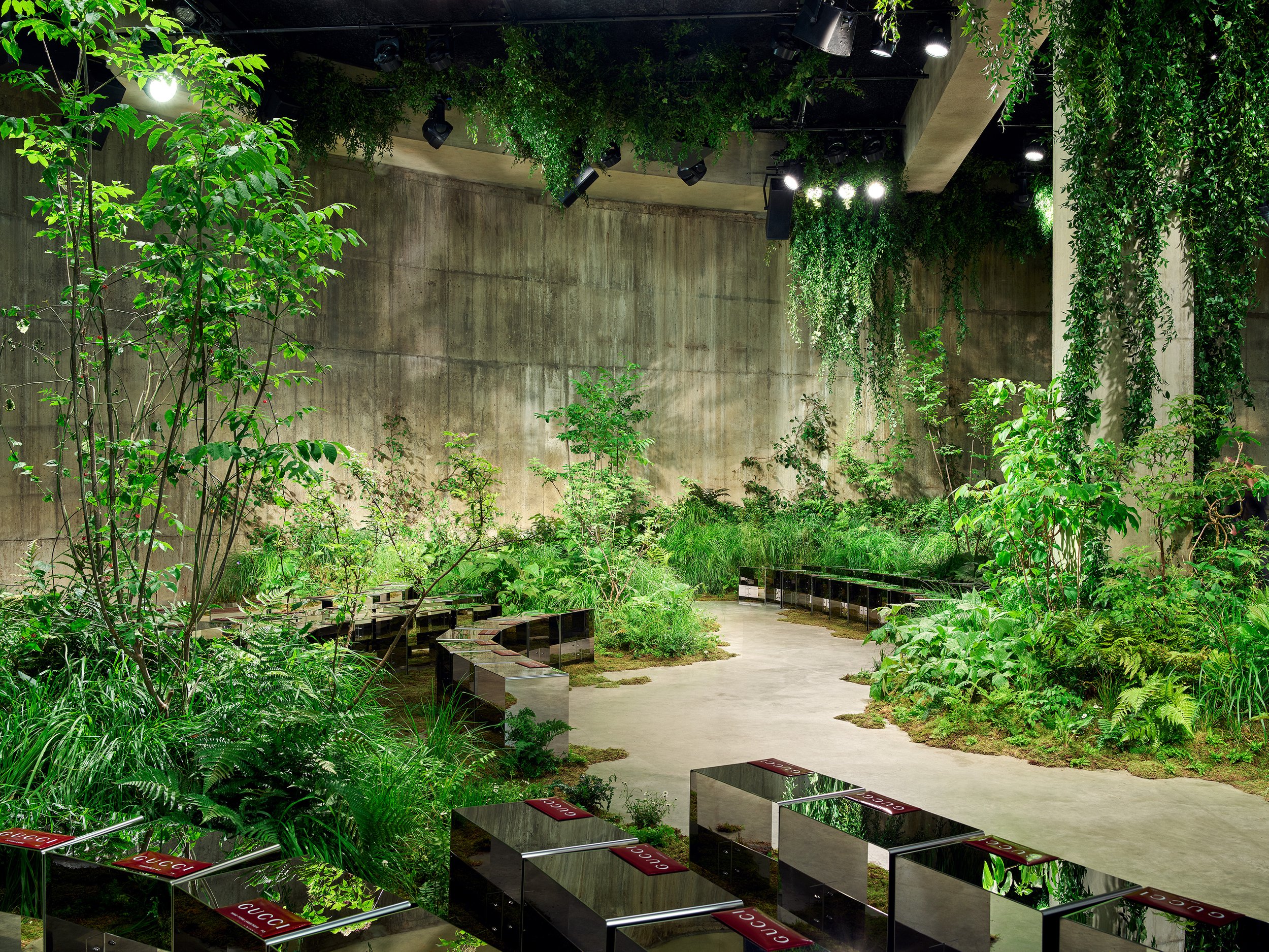 Lush planting by Jamie Butterworth growing through the concrete Tanks at Tate Modern for the Gucci Cruise 2025 show