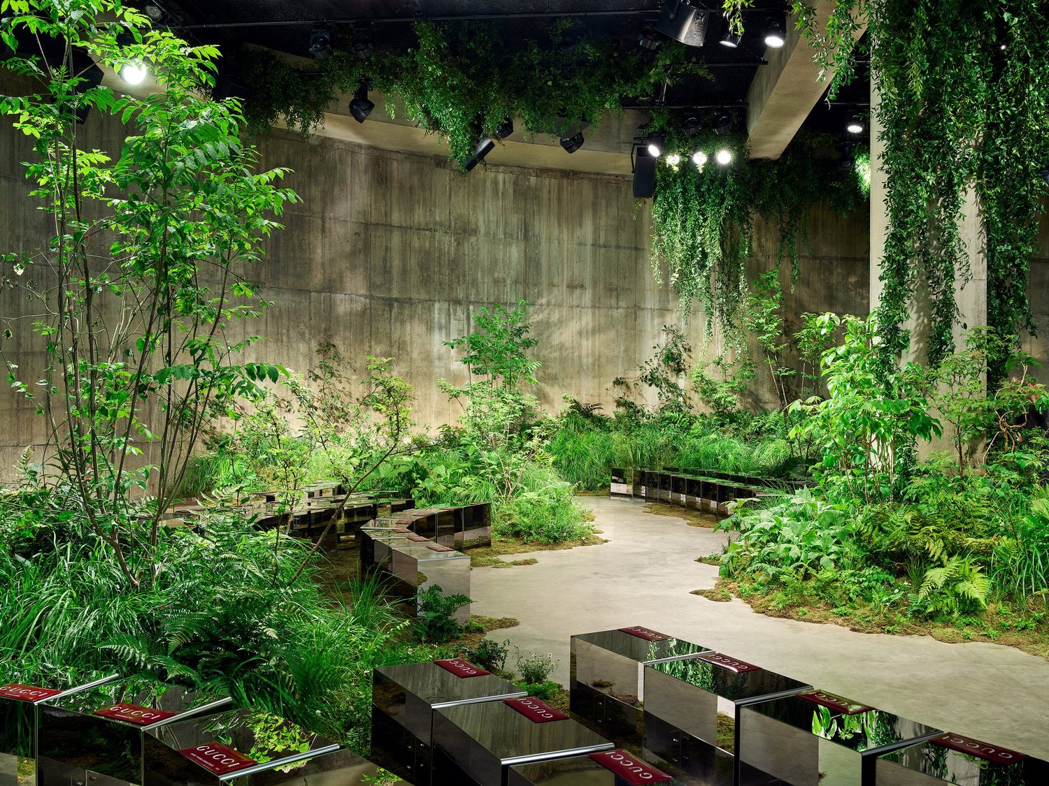 Lush planting led by Jamie Butterworth growing through the concrete Tanks at Tate Modern for the Gucci Cruise 2025 show