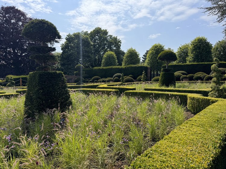 Planting design by Jamie Butterworth